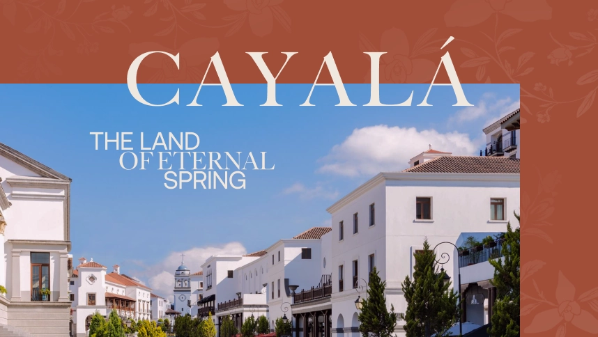 Digital Transformation for Premium Real Estate Brand